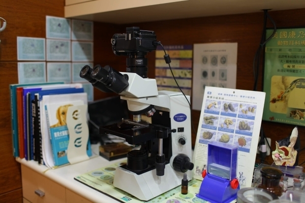 日本olympus顯微鏡